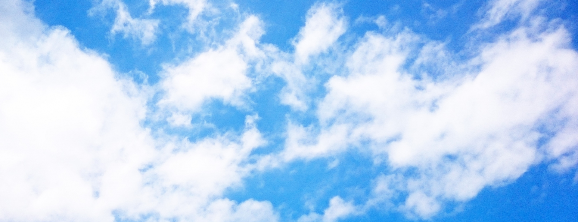 その他軽作業等